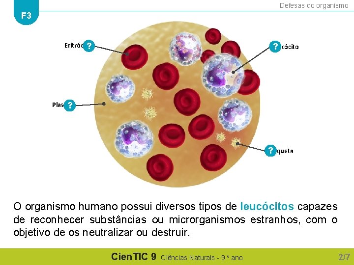 Defesas do organismo F 3 Eritrócito ? Leucócito ? Plasma ? Plaqueta ? O