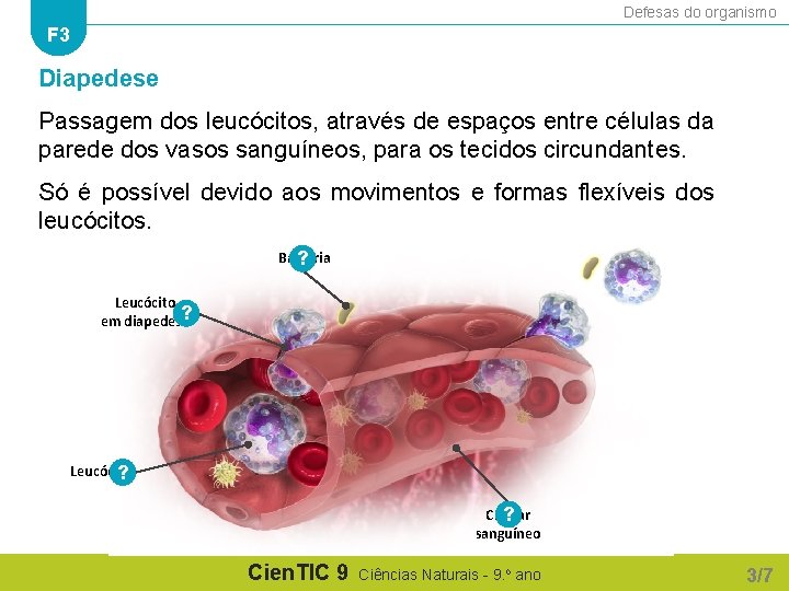 Defesas do organismo F 3 Diapedese Passagem dos leucócitos, através de espaços entre células