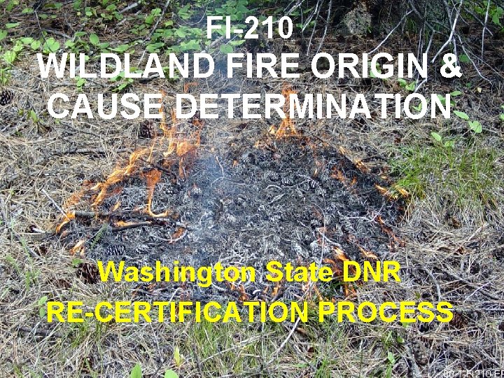 FI-210 WILDLAND FIRE ORIGIN & CAUSE DETERMINATION Washington State DNR RE-CERTIFICATION PROCESS 1 00