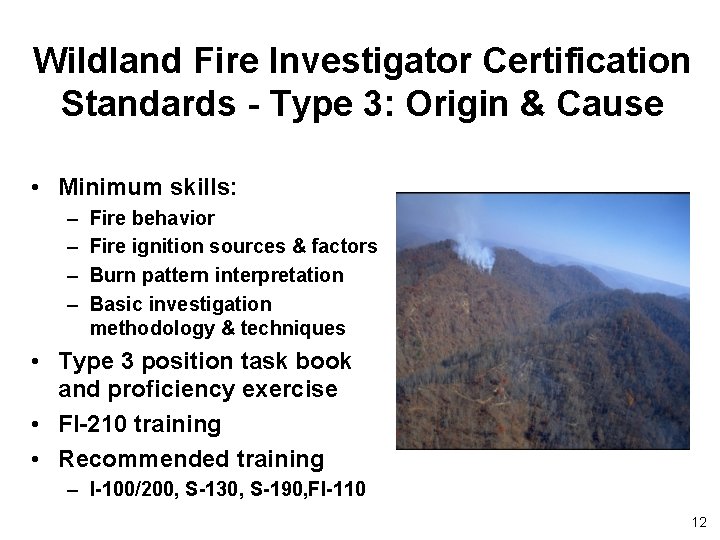 Wildland Fire Investigator Certification Standards - Type 3: Origin & Cause • Minimum skills: