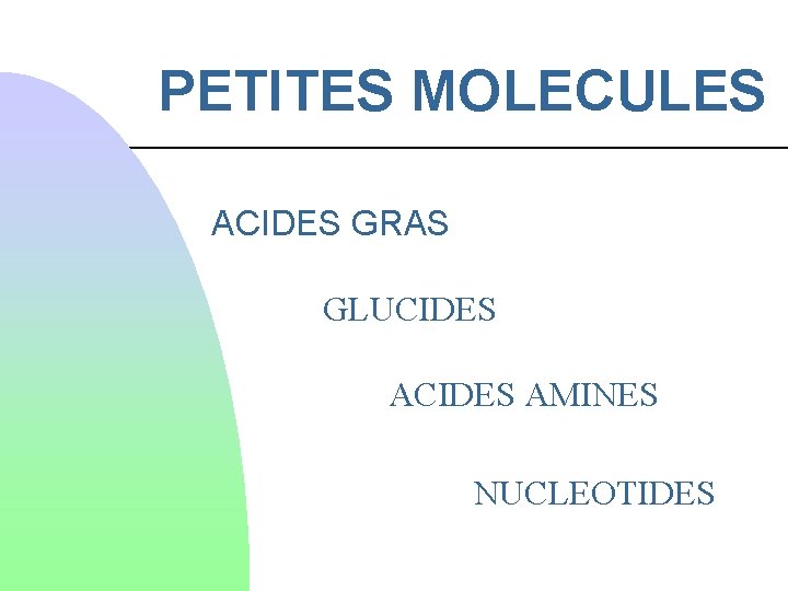 PETITES MOLECULES ACIDES GRAS GLUCIDES AMINES NUCLEOTIDES 