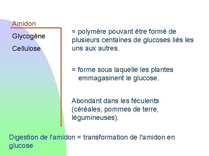 Amidon Glycogène Cellulose = polymère pouvant être formé de plusieurs centaines de glucoses liés