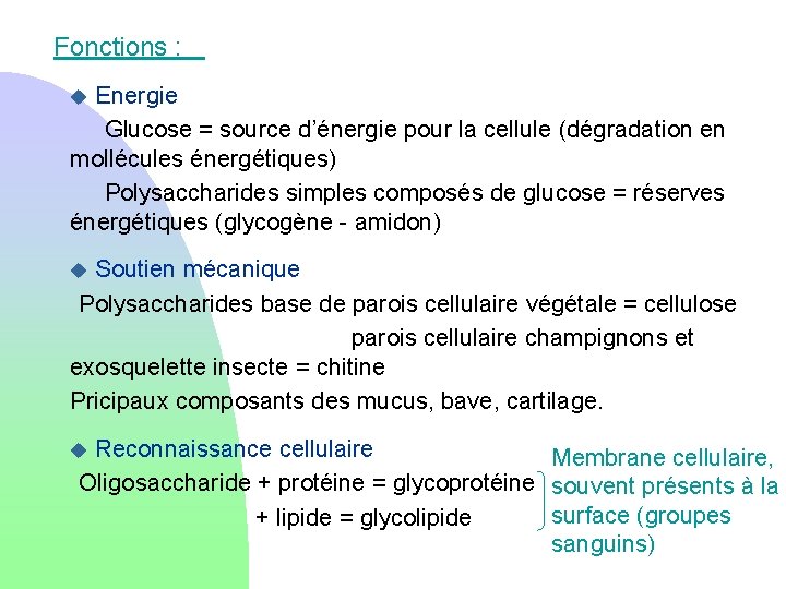 Fonctions : u Energie Glucose = source d’énergie pour la cellule (dégradation en mollécules