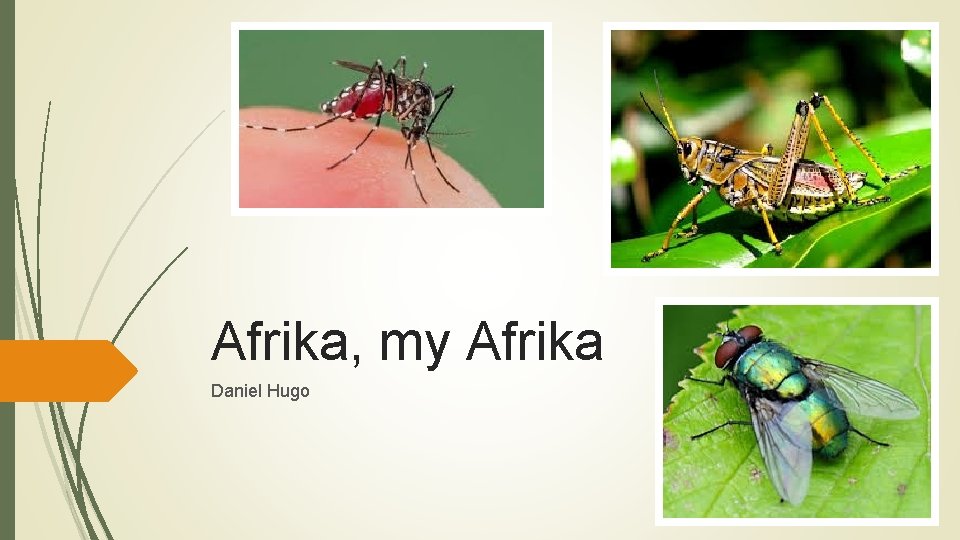 Afrika, my Afrika Daniel Hugo 