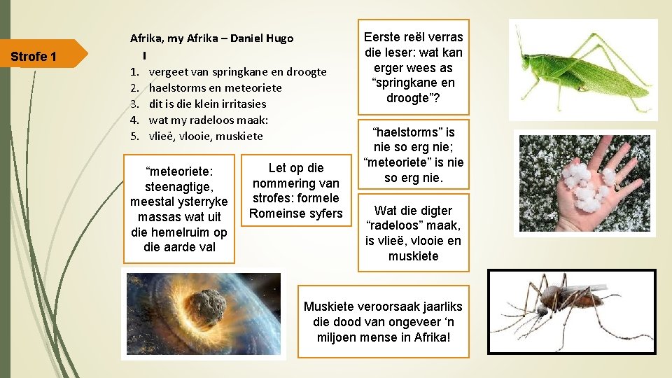 Strofe 1 Afrika, my Afrika – Daniel Hugo I 1. vergeet van springkane en