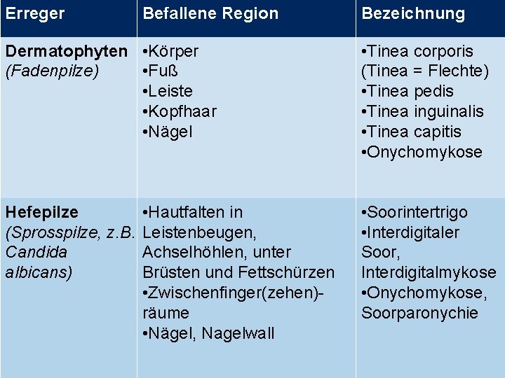 Erreger Befallene Region Dermatophyten • Körper (Fadenpilze) • Fuß • Leiste • Kopfhaar •