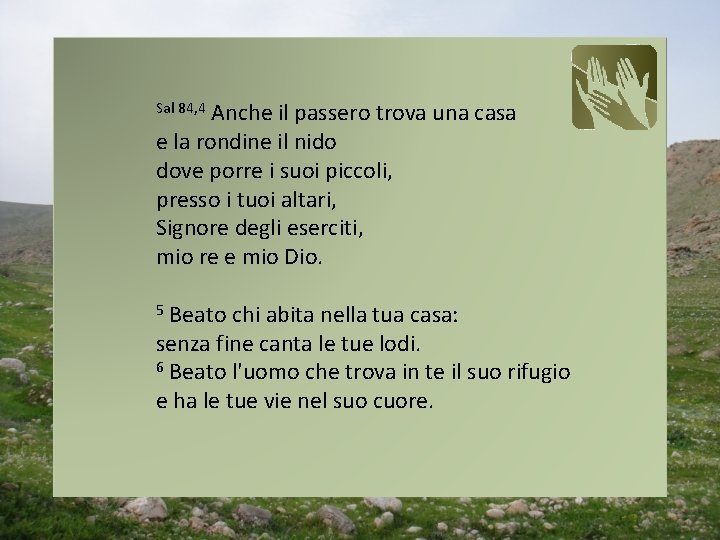 Anche il passero trova una casa e la rondine il nido dove porre i