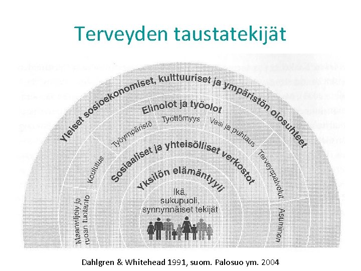 Terveyden taustatekijät TIEDOT, ASENTEET JA OIKEUDET SUOJAAVAT TEKIJÄT JA RISKITEKIJÄT PÄIHTEET JA KÄYTTÖTAVAT YHTEISKUNTA