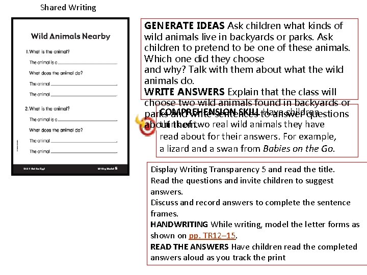 Shared Writing GENERATE IDEAS Ask children what kinds of wild animals live in backyards