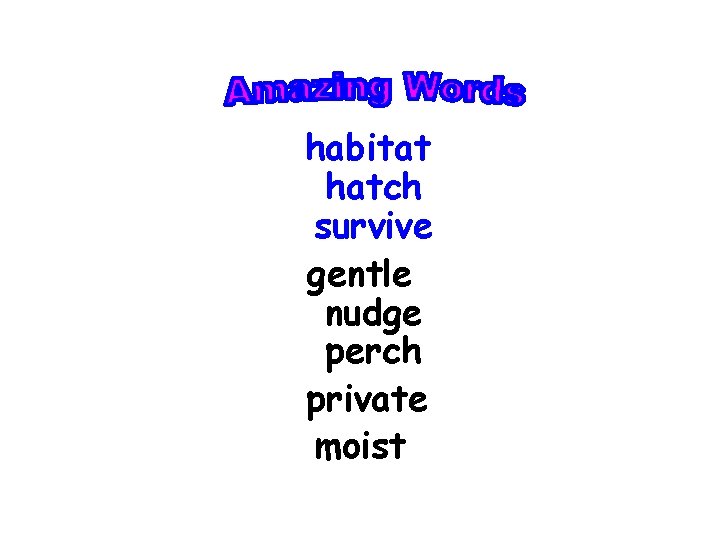 habitat hatch survive gentle nudge perch private moist 