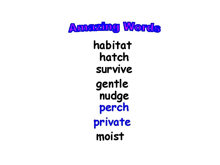 habitat hatch survive gentle nudge perch private moist 