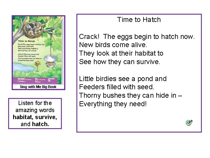 Time to Hatch Crack! The eggs begin to hatch now. New birds come alive.