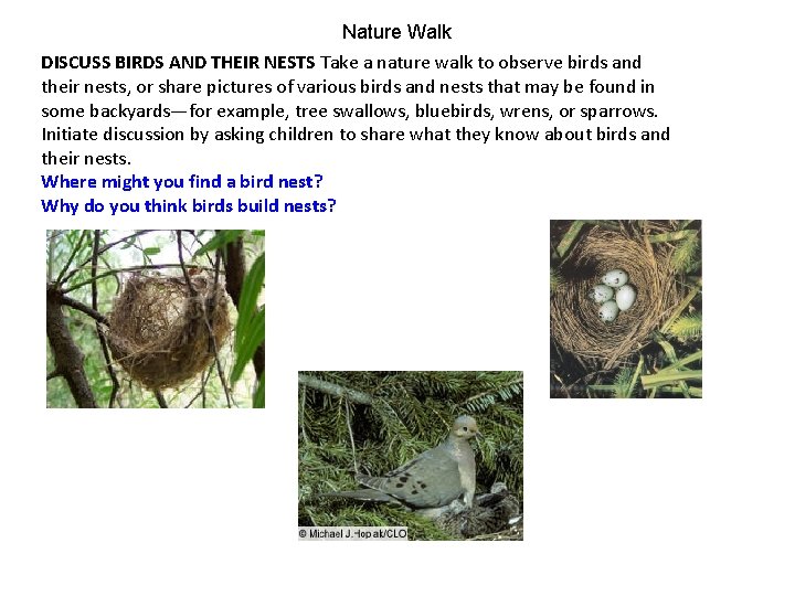 Nature Walk DISCUSS BIRDS AND THEIR NESTS Take a nature walk to observe birds