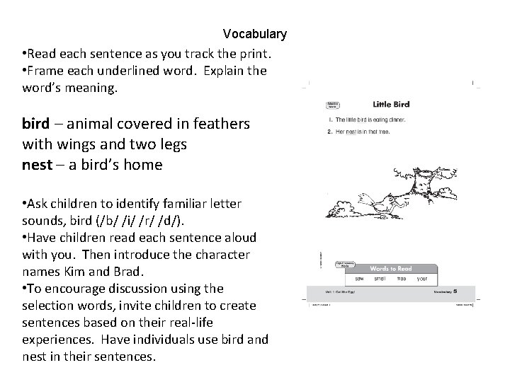 Vocabulary • Read each sentence as you track the print. • Frame each underlined