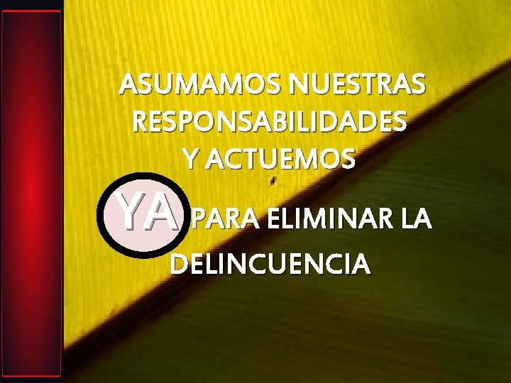 ASUMAMOS NUESTRAS RESPONSABILIDADES Y ACTUEMOS YA PARA ELIMINAR LA DELINCUENCIA 