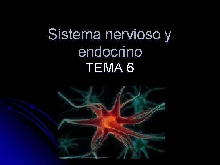 Sistema nervioso y endocrino TEMA 6 