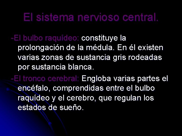 El sistema nervioso central. -El bulbo raquídeo: constituye la prolongación de la médula. En