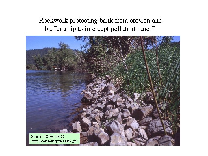 Rockwork protecting bank from erosion and buffer strip to intercept pollutant runoff. Source: USDA,