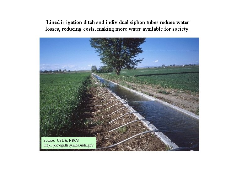 Lined irrigation ditch and individual siphon tubes reduce water losses, reducing costs, making more