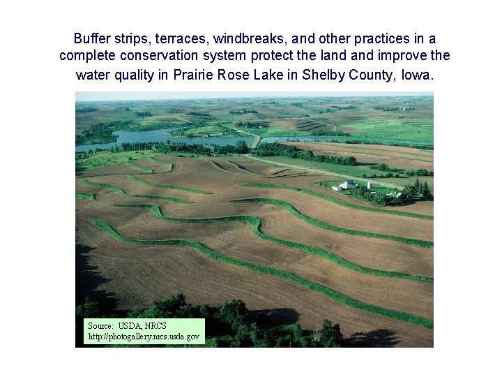 Buffer strips, terraces, windbreaks, and other practices in a complete conservation system protect the