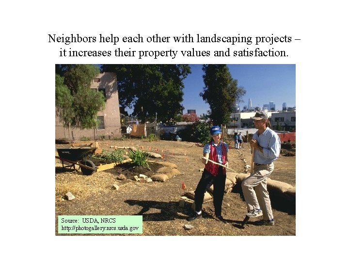 Neighbors help each other with landscaping projects – it increases their property values and