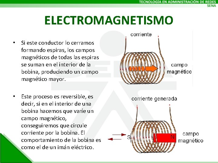 ELECTROMAGNETISMO • Si este conductor lo cerramos formando espiras, los campos magnéticos de todas