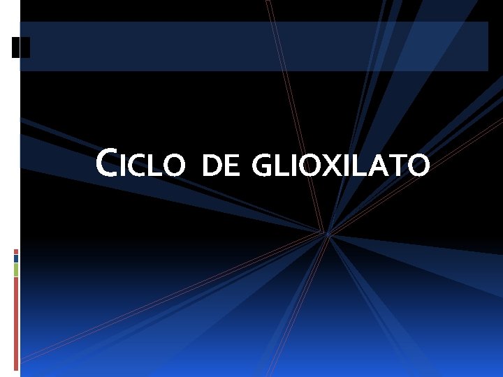 CICLO DE GLIOXILATO 