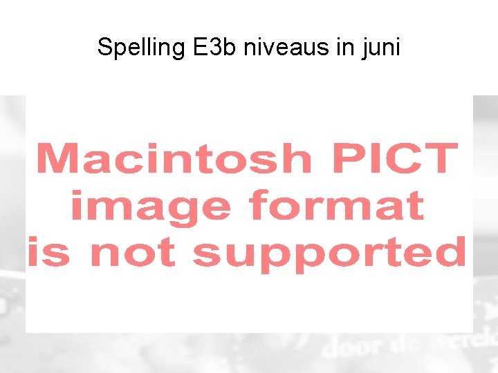 Spelling E 3 b niveaus in juni 