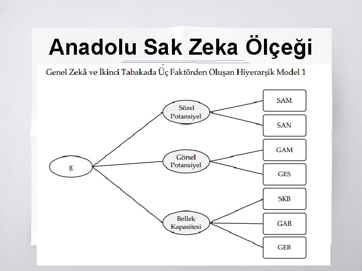 Anadolu Sak Zeka Ölçeği ▧? 