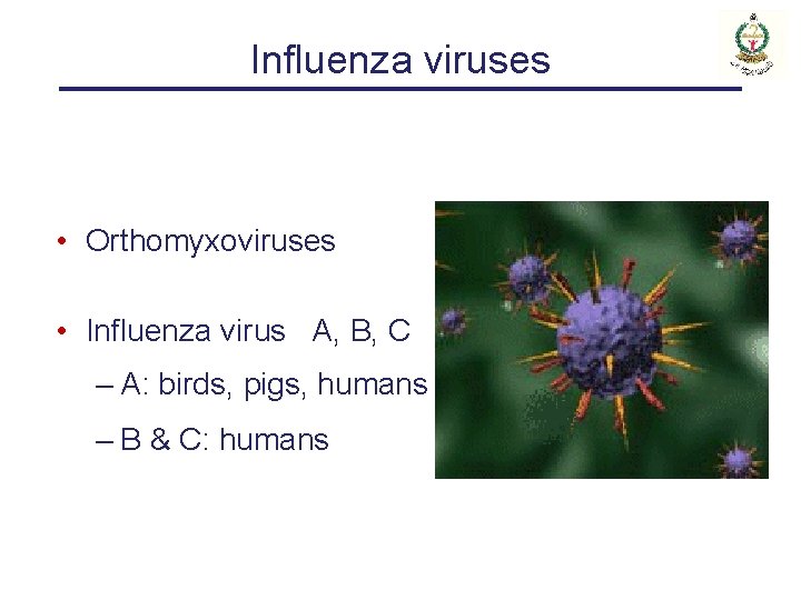 Influenza viruses • Orthomyxoviruses • Influenza virus A, B, C – A: birds, pigs,