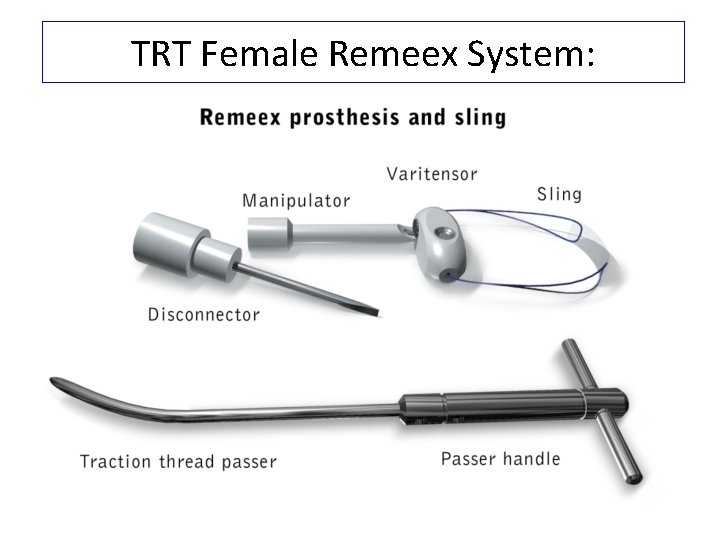 TRT Female Remeex System: 