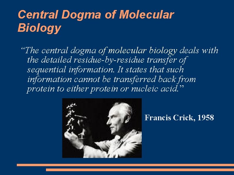 Central Dogma of Molecular Biology “The central dogma of molecular biology deals with the