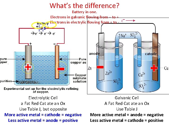 What’s the difference? Battery in one. Electrons in galvanic flowing from – to +