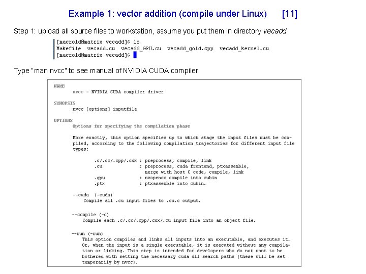 Example 1: vector addition (compile under Linux) [11] Step 1: upload all source files