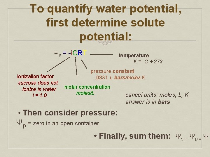  To quantify water potential, first determine solute potential: Ψs = -i. CRT ionization