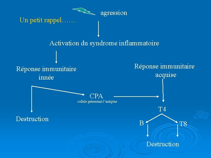 Un petit rappel…… agression Activation du syndrome inflammatoire Réponse immunitaire acquise Réponse immunitaire innée