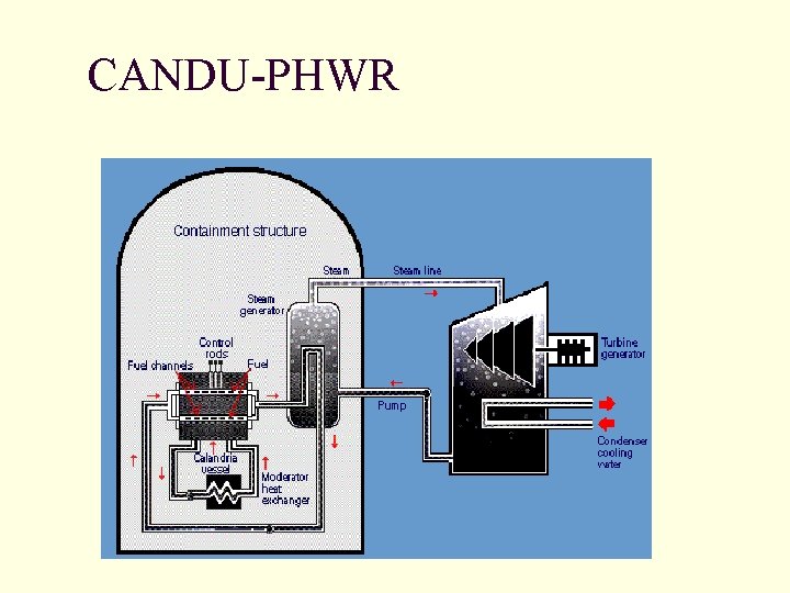 CANDU-PHWR CANDU-PHWR