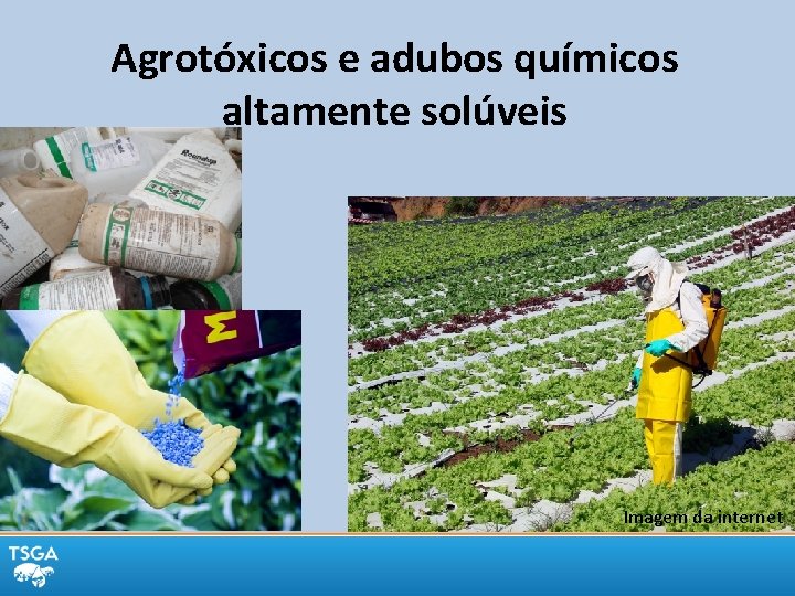 Agrotóxicos e adubos químicos altamente solúveis Imagem da internet 