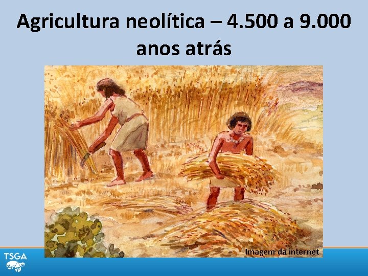 Agricultura neolítica – 4. 500 a 9. 000 anos atrás Imagem da internet 