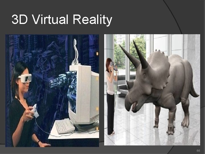 3 D Virtual Reality 55 