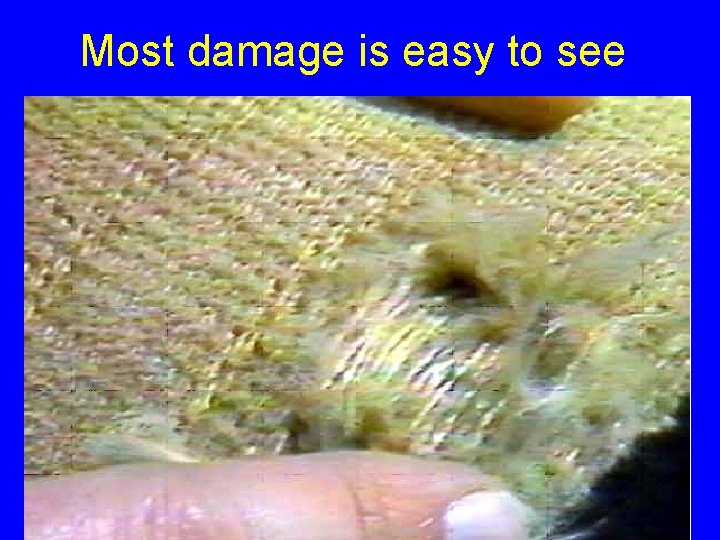 Most damage is easy to see 76 