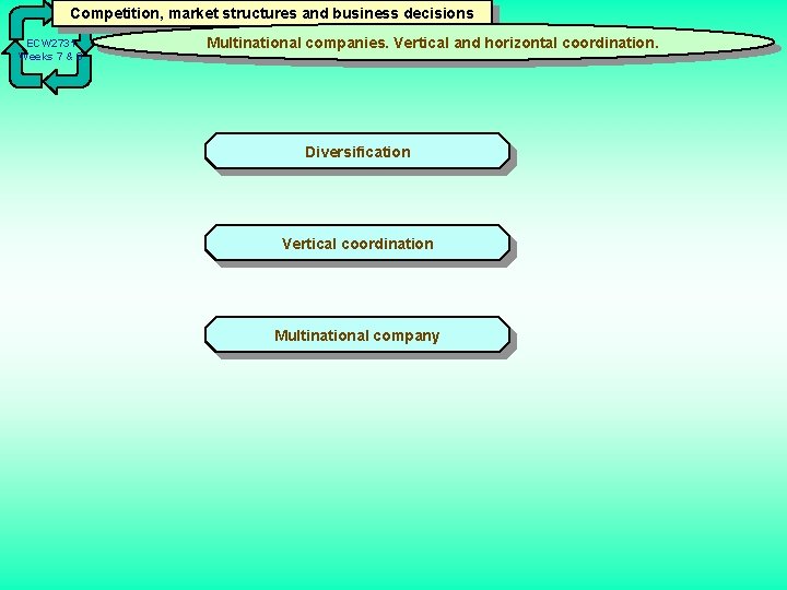 Competition, market structures and business decisions ECW 2731 Weeks 7 & 8 Multinational companies.