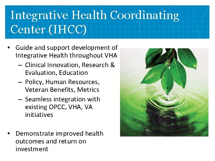 Integrative Health Coordinating Center (IHCC) • Guide and support development of Integrative Health throughout