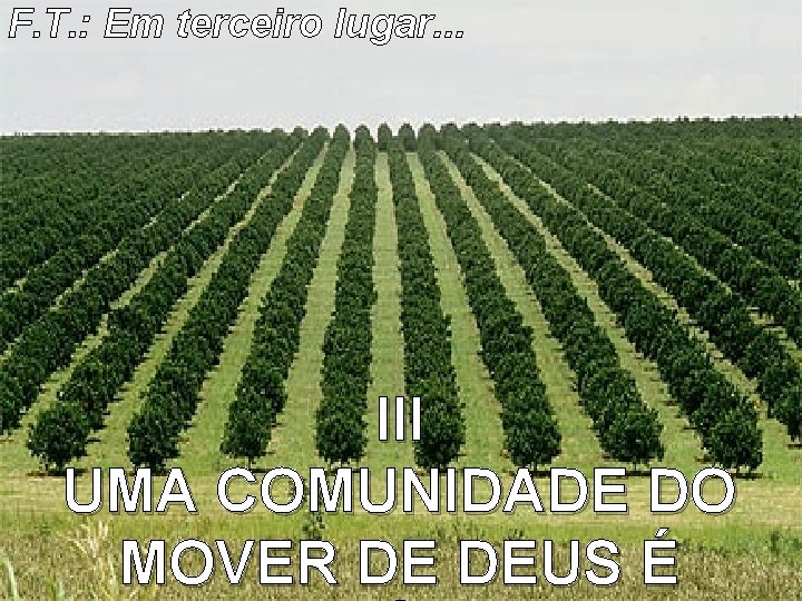F. T. : Em terceiro lugar. . . III UMA COMUNIDADE DO MOVER DE F. T. : Em terceiro lugar. . . III UMA COMUNIDADE DO MOVER DE