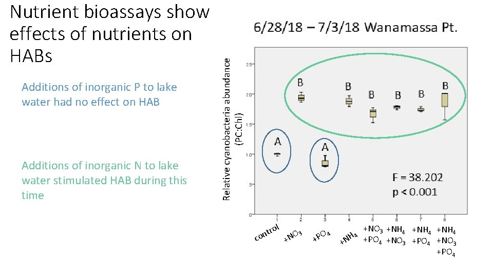Additions of inorganic P to lake water had no effect on HAB Additions of Additions of inorganic P to lake water had no effect on HAB Additions of