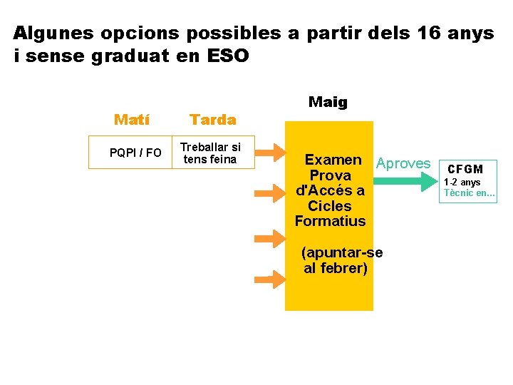 Algunes opcions possibles a partir dels 16 anys i sense graduat en ESO Matí