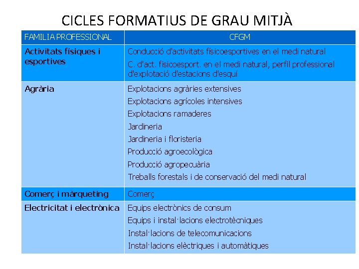 CICLES FORMATIUS DE GRAU MITJÀ FAMILIA PROFESSIONAL CFGM Activitats físiques i esportives Conducció d'activitats