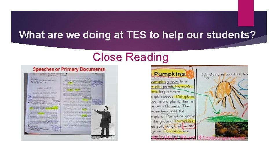 What are we doing at TES to help our students? Close Reading 