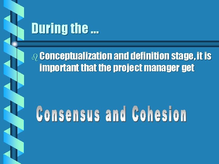 During the … b Conceptualization and definition stage, it is important that the project