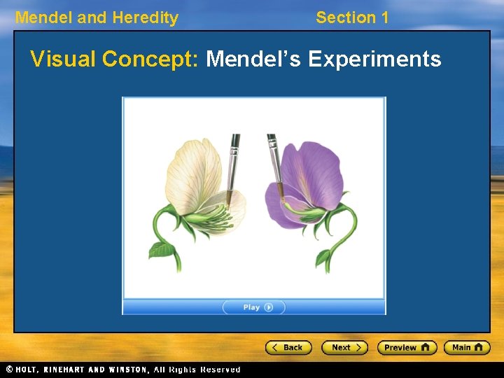 Mendel and Heredity Section 1 Visual Concept: Mendel’s Experiments Mendel and Heredity Section 1 Visual Concept: Mendel’s Experiments